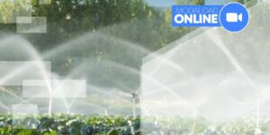 CURSO DE FERTIRRIGACIÓN: EFICIENCIA EN EL USO DEL AGUA Y LOS NUTRIENTES